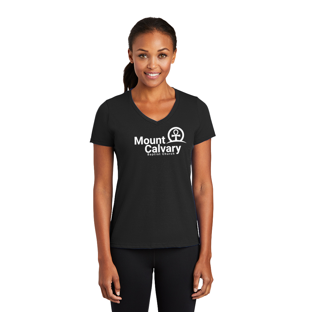 Ladies Performance Blend V-Neck Tee - LPC381V